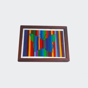 Mariposa multicolor